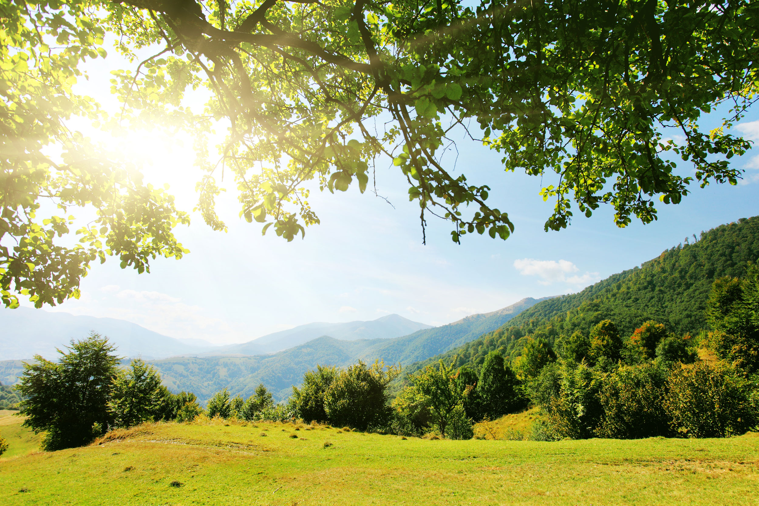 Urlaub im Bayerischen Wald